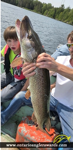 46" Northern Pike caught on Upper Steep Rock lake