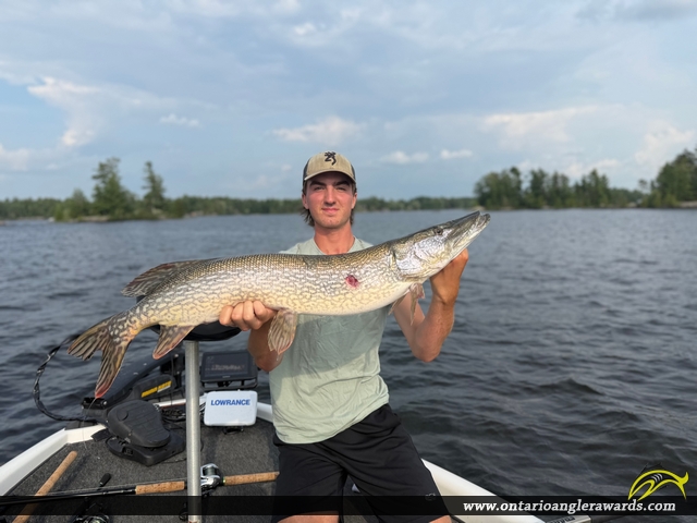 39.75" Northern Pike caught on Lake nipissing 