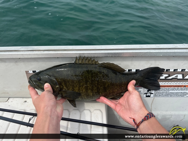 19.00" Smallmouth Bass caught on Lake Huron