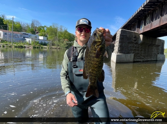 20" Smallmouth Bass caught on Speed River