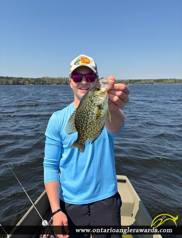 14" Black Crappie caught on Mountsberg Reservoir