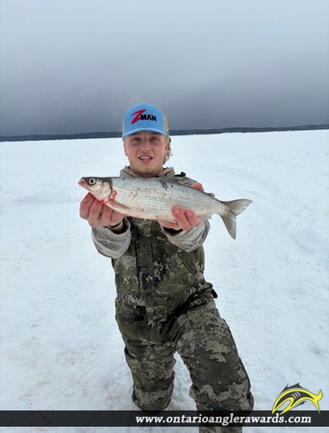 22.4" Whitefish caught on Lake Nipissing 