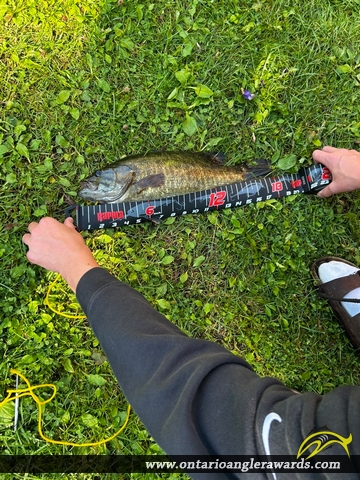 18" Smallmouth Bass caught on Longbow Lake