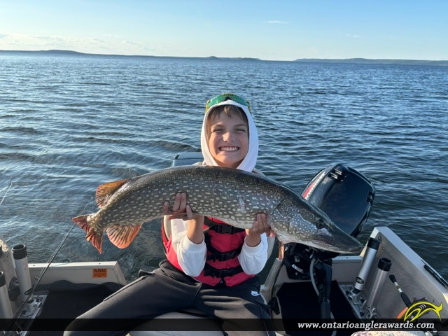 38.25" Northern Pike caught on Lake Nipigon (Humbolt Bay)