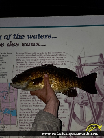 18" Smallmouth Bass caught on Rideau River