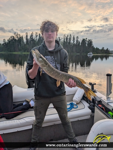 36" Northern Pike caught on Watabeag Lake
