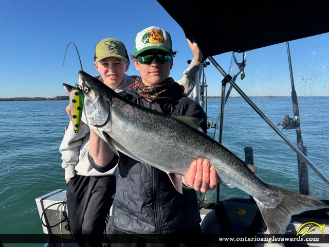 21" Brown Trout caught on Lake Ontario