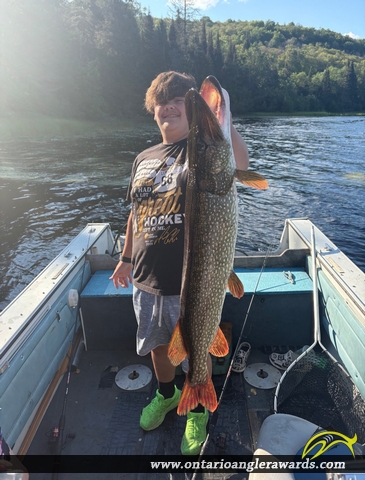 38" Northern Pike caught on Beaver Lake