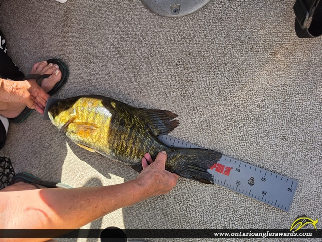 18.6" Largemouth Bass caught on Balsam Lake