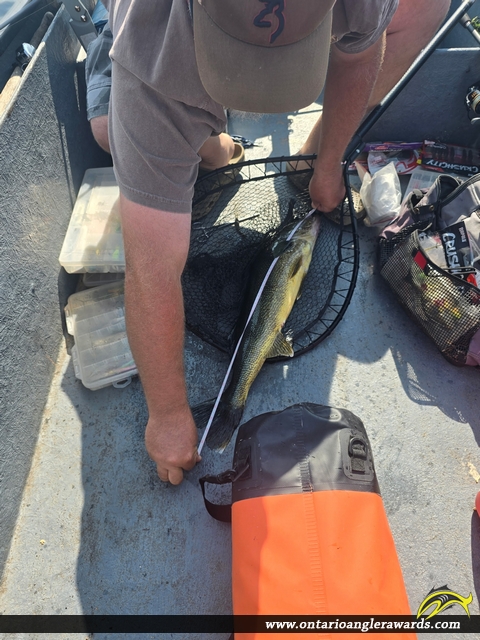 29" Walleye caught on Kipawa Lake