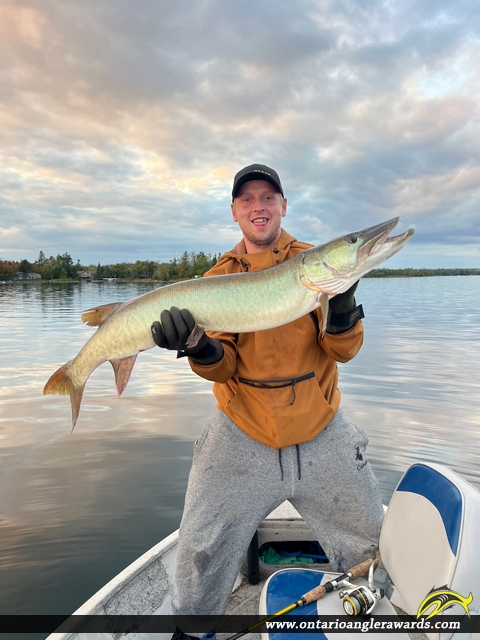 44" Muskie caught on Pigeon  Lake