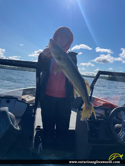 27.5" Walleye caught on O’Sullivan Lake 