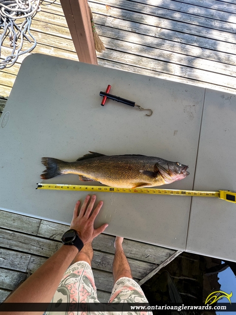 25" Walleye caught on Six Mile Lake