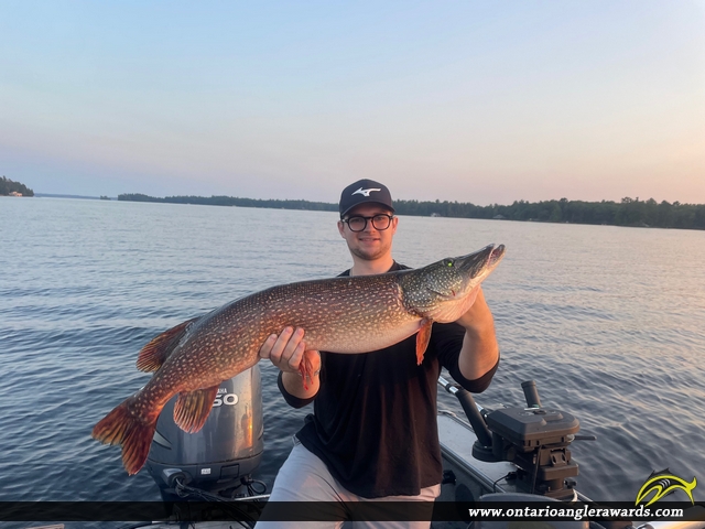 40.5" Northern Pike caught on Lake Muskoka