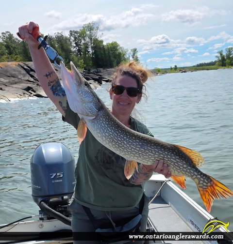 36" Northern Pike caught on Lake of the Woods