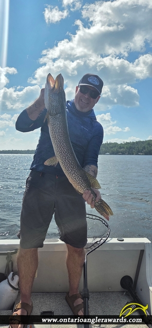 36" Northern Pike caught on Lake of the Woods