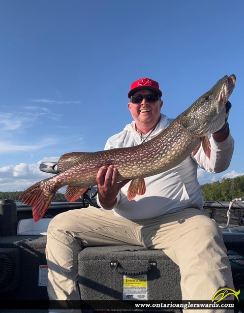 40.25" Northern Pike caught on Lake of the Woods