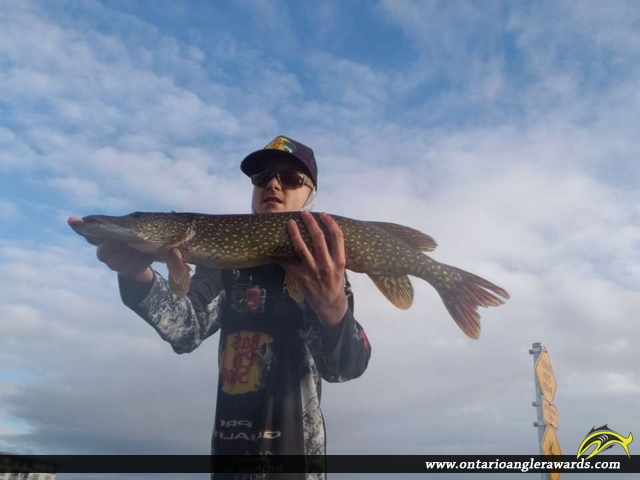 30" Northern Pike caught on Moira River 
