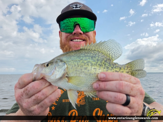 10.50" Black Crappie caught on Lake of the Woods 