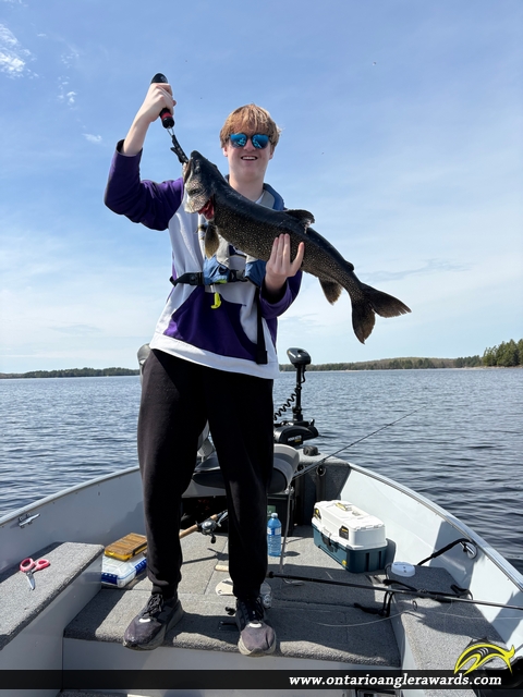 31" Lake Trout caught on Wahwashkesh Lake