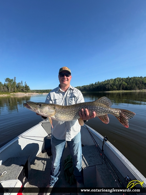 39" Northern Pike caught on Grassy Narrows Lake
