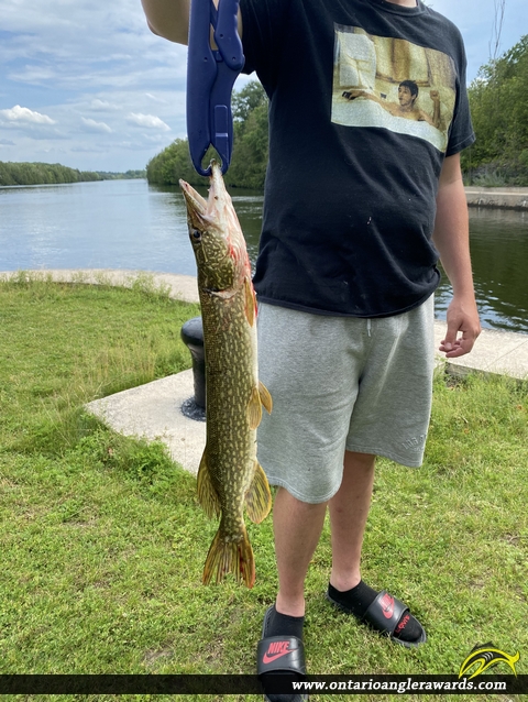30" Northern Pike caught on Trent River