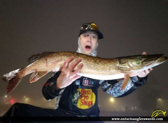 42" Northern Pike caught on Moira River