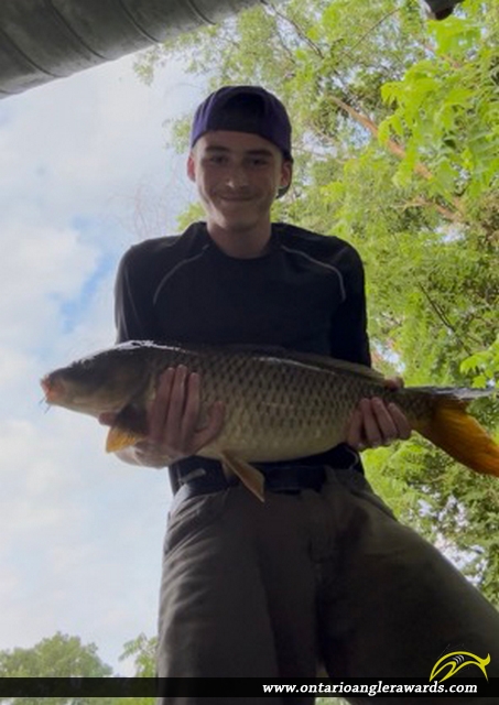 31" Carp caught on Turkey Creek