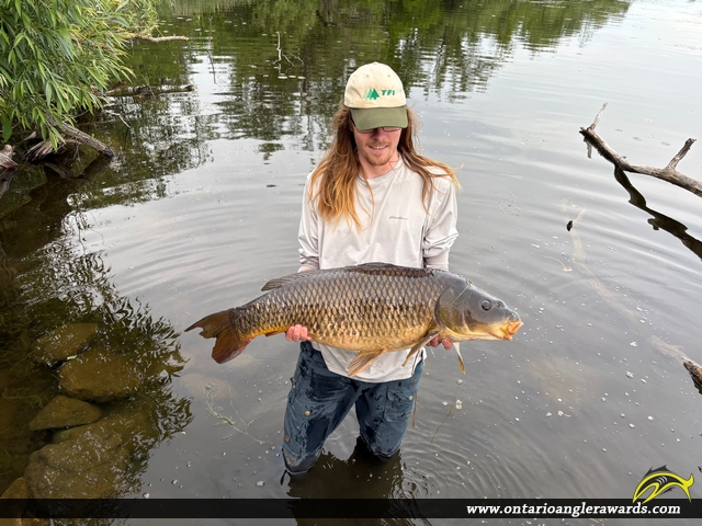 37" Carp caught on Otonabee River