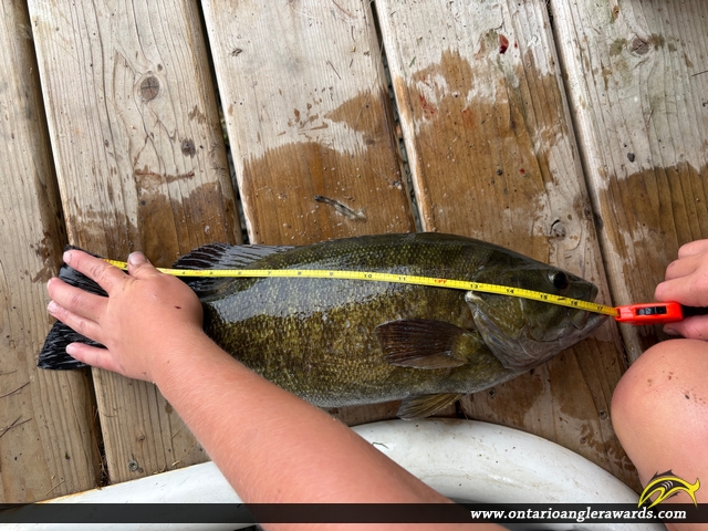 17.75" Smallmouth Bass caught on Lake of the Woods