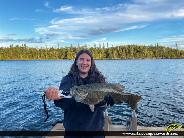 17.5" Smallmouth Bass caught on Shoal Lake