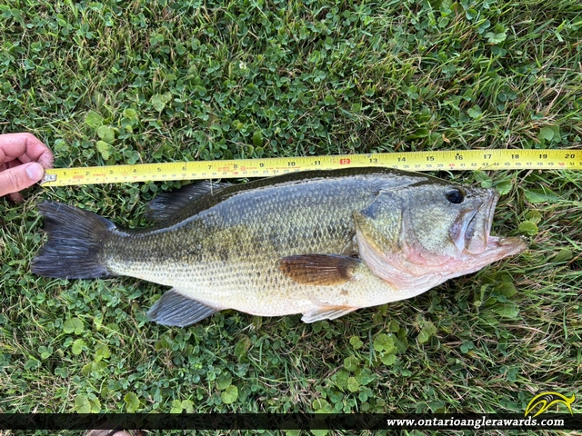 18" Largemouth Bass caught on Rabbit lake
