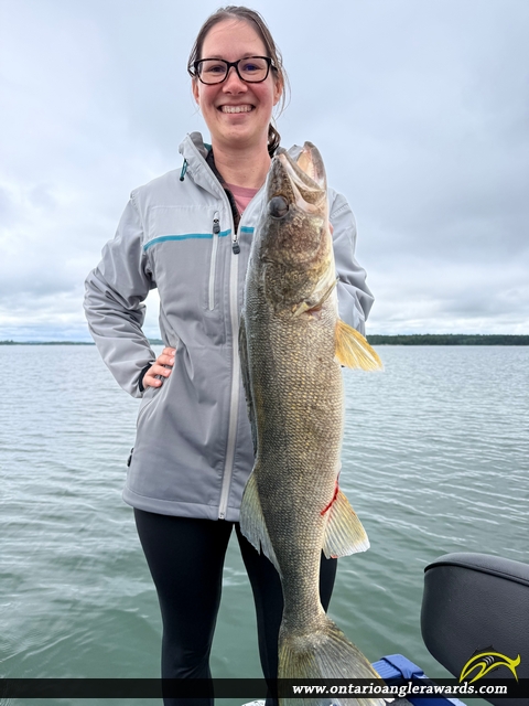 26.5" Walleye caught on Rainy Lake