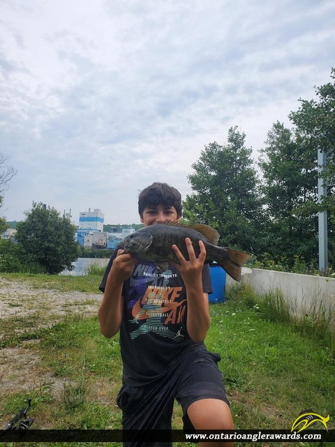 19" Smallmouth Bass caught on Ottawa River