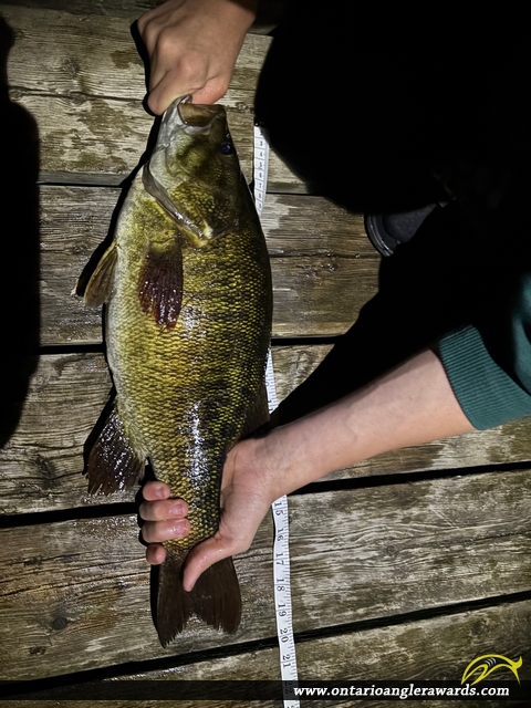20" Smallmouth Bass caught on Crowe River
