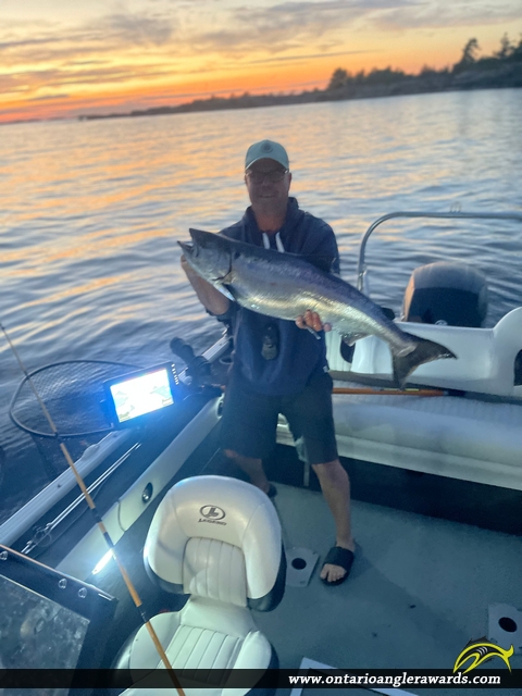 39" Chinook Salmon caught on Georgian Bay 