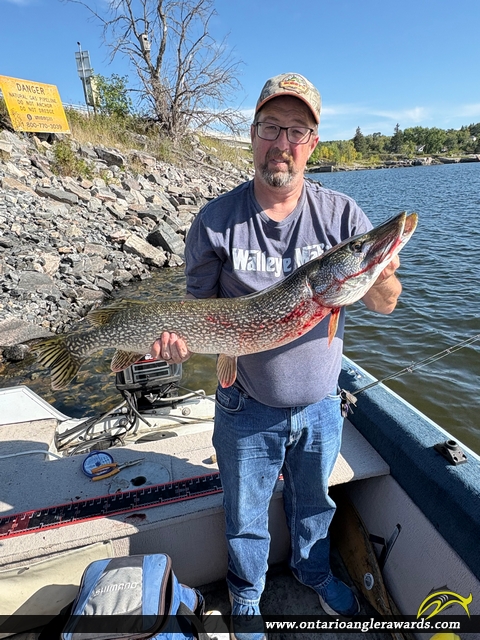 36.5" Northern Pike caught on Winnipeg River 