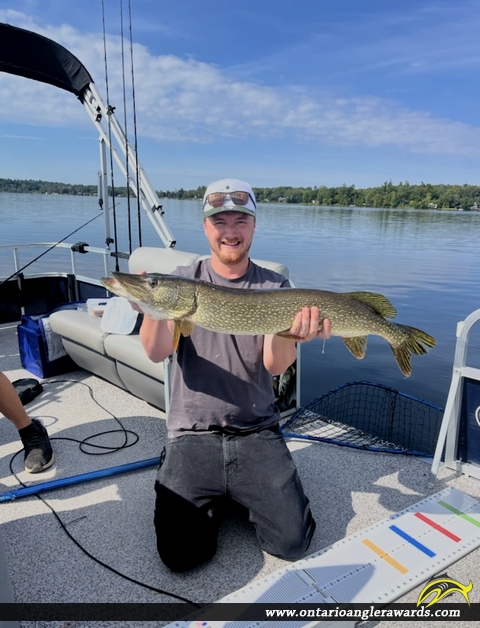 36.5" Northern Pike caught on Moira Lake