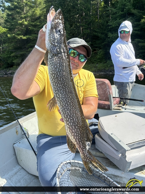 34" Northern Pike caught on Hackford Lake