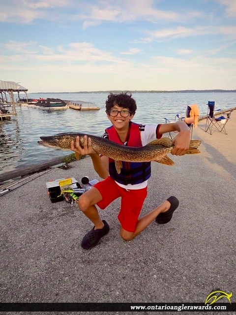 36" Northern Pike caught on Lake Simcoe