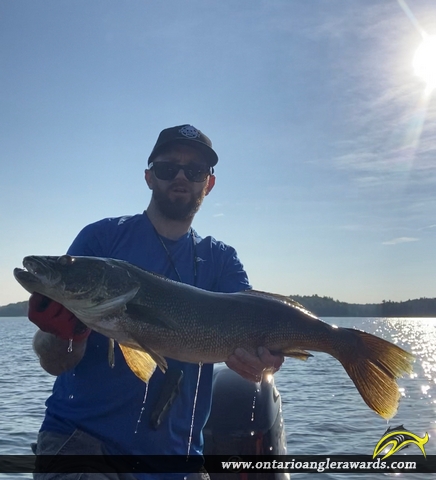 28.5" Walleye caught on Bobs Lake 