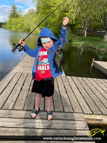 10" Black Crappie caught on Spring Water Conservation 