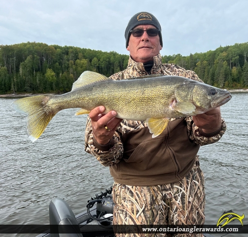 28" Walleye caught on English River System