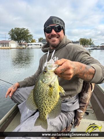 13" Black Crappie caught on Lake Erie