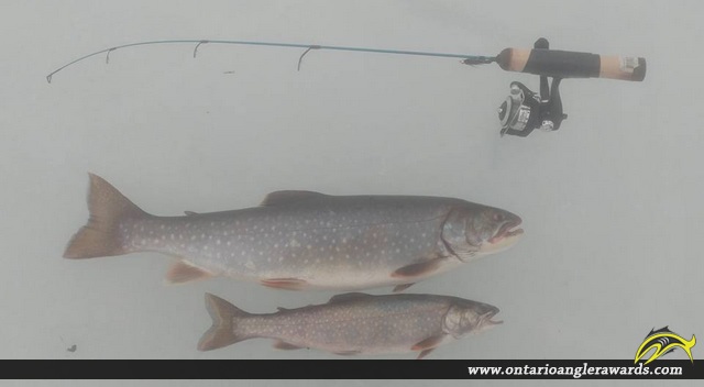 22" Splake caught on Blue Lake