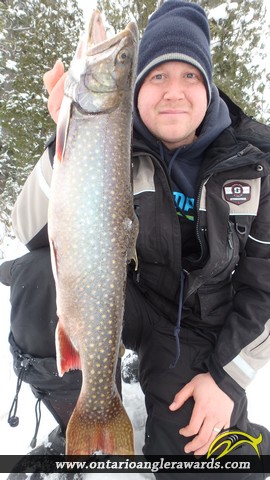 20.50" Splake caught on Crystal Lake