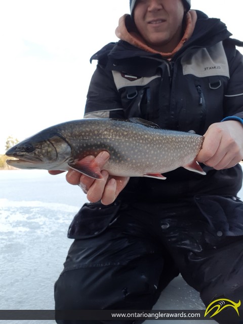 20.00" Splake caught on Mink Lake