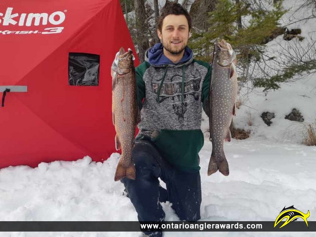 20" Splake caught on Long Lake