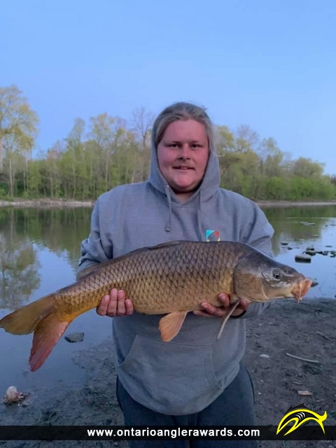 30" Carp caught on Thames