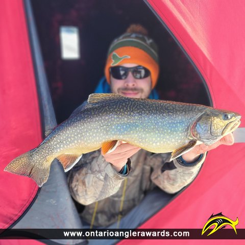 23" Splake caught on Dog lake 